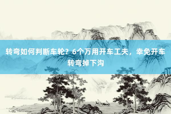 转弯如何判断车轮？6个万用开车工夫，幸免开车转弯掉下沟