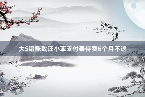 大S错账致汪小菲支付奉侍费6个月不退