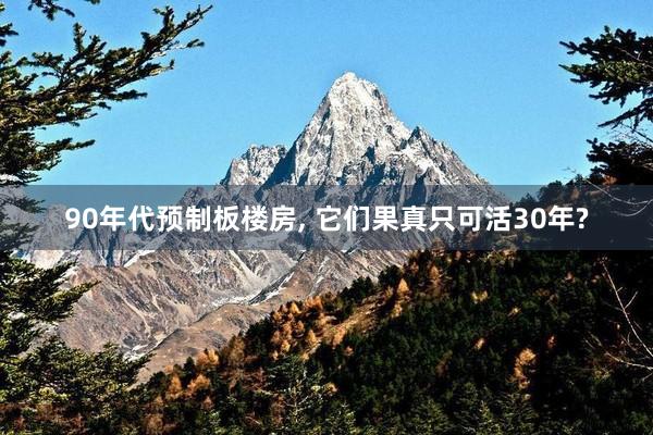 90年代预制板楼房, 它们果真只可活30年?